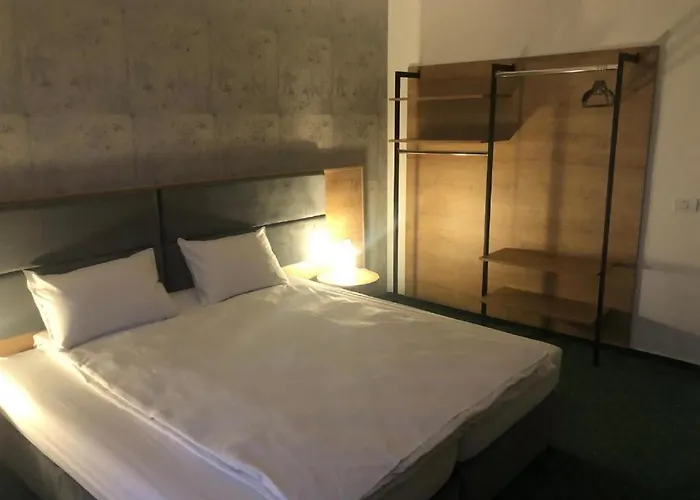 Joy Rosa Herberg Timişoara