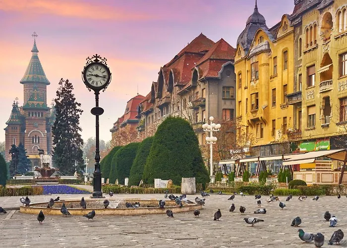 Joy Rosa Herberg Timişoara