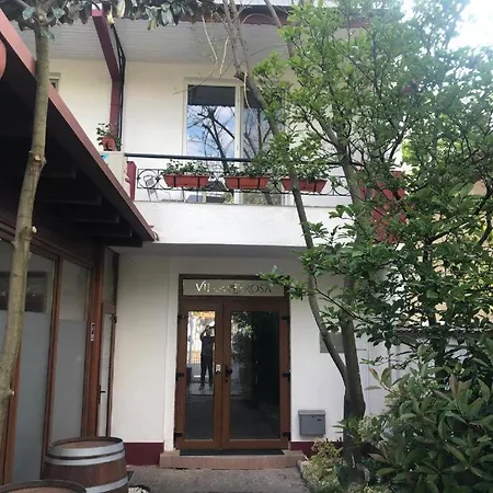 Värdshus Joy Rosa *